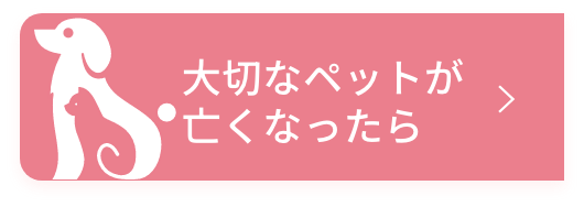 固定ボタン